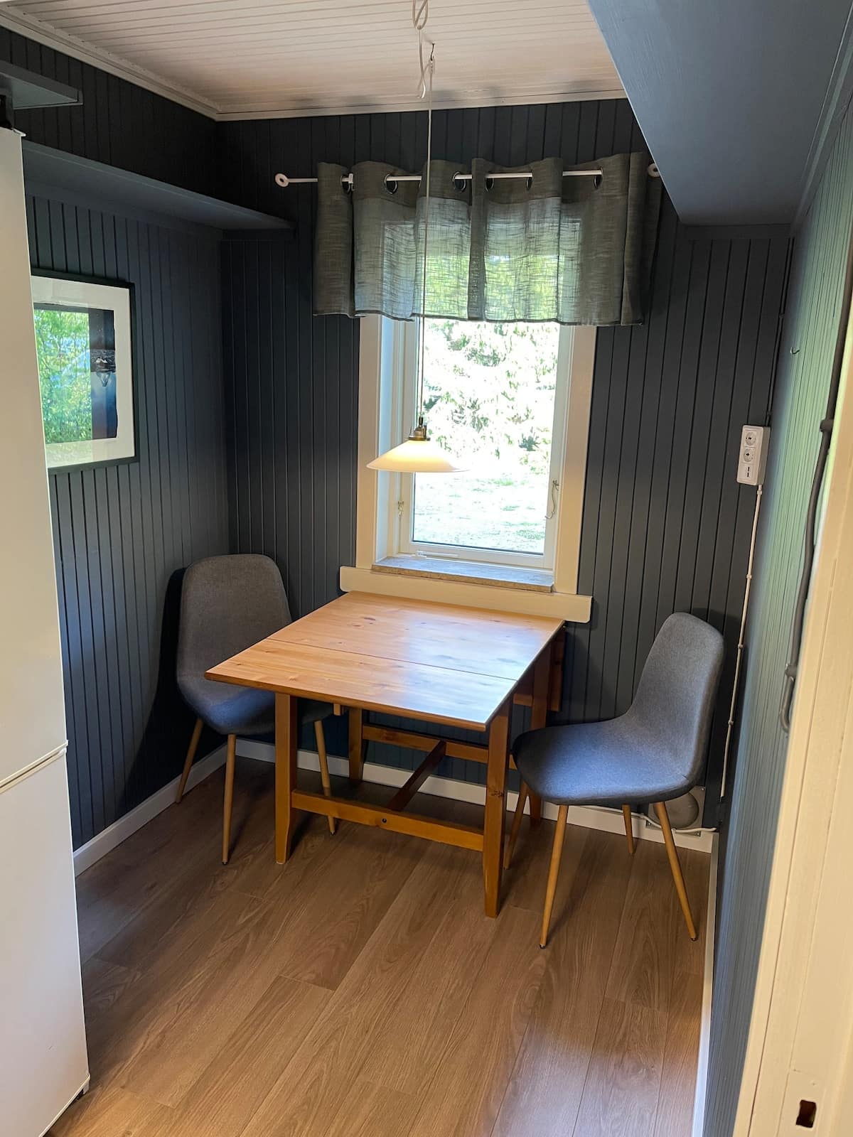 Trädgård med äppleträd.