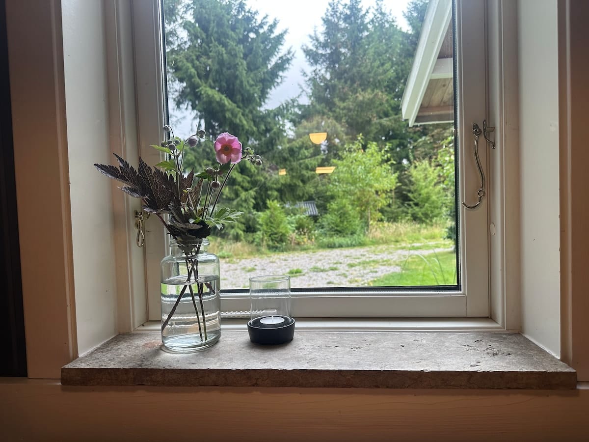 Vasen på fönsterbrädet.